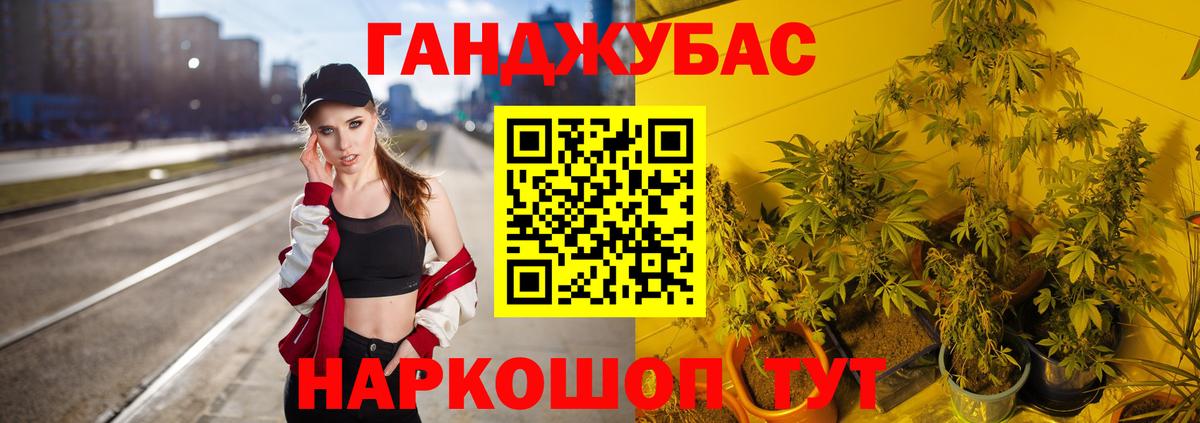Бошки Шишки гибрид Донской
